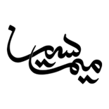میم سین